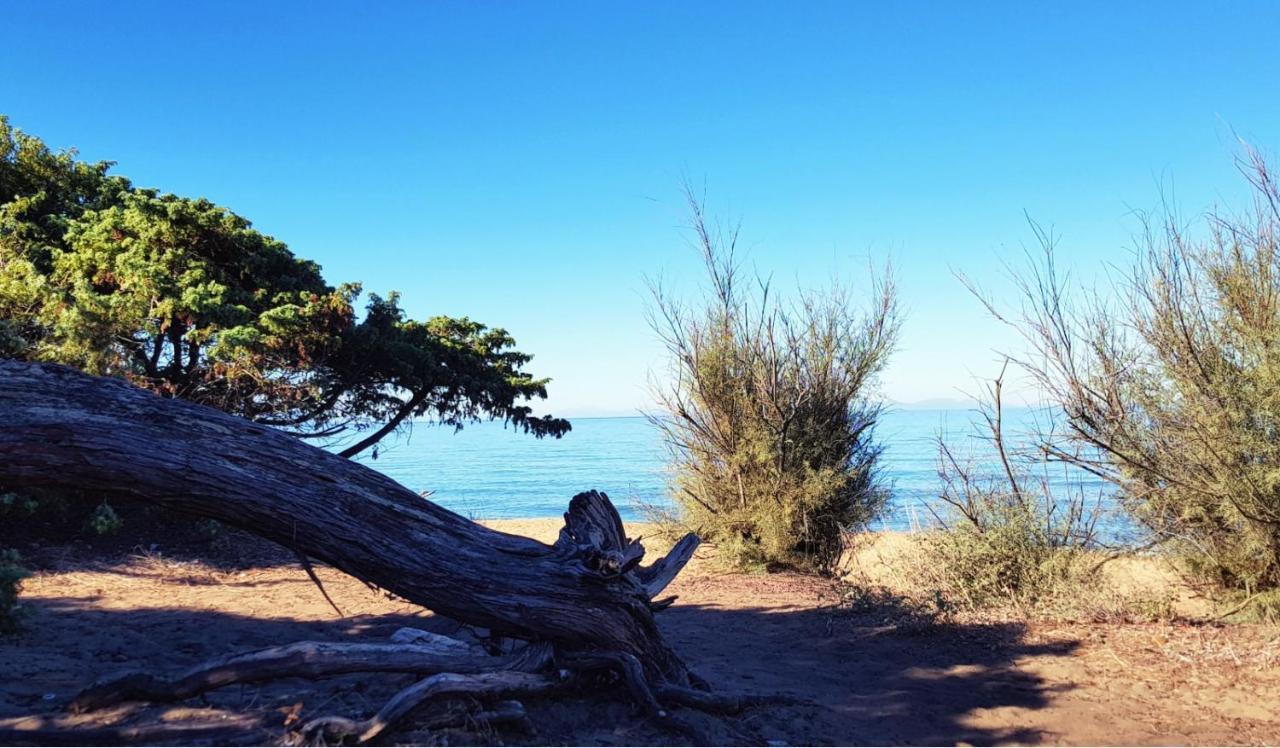 Appartamento Claudi a San Vincenzo Esterno foto