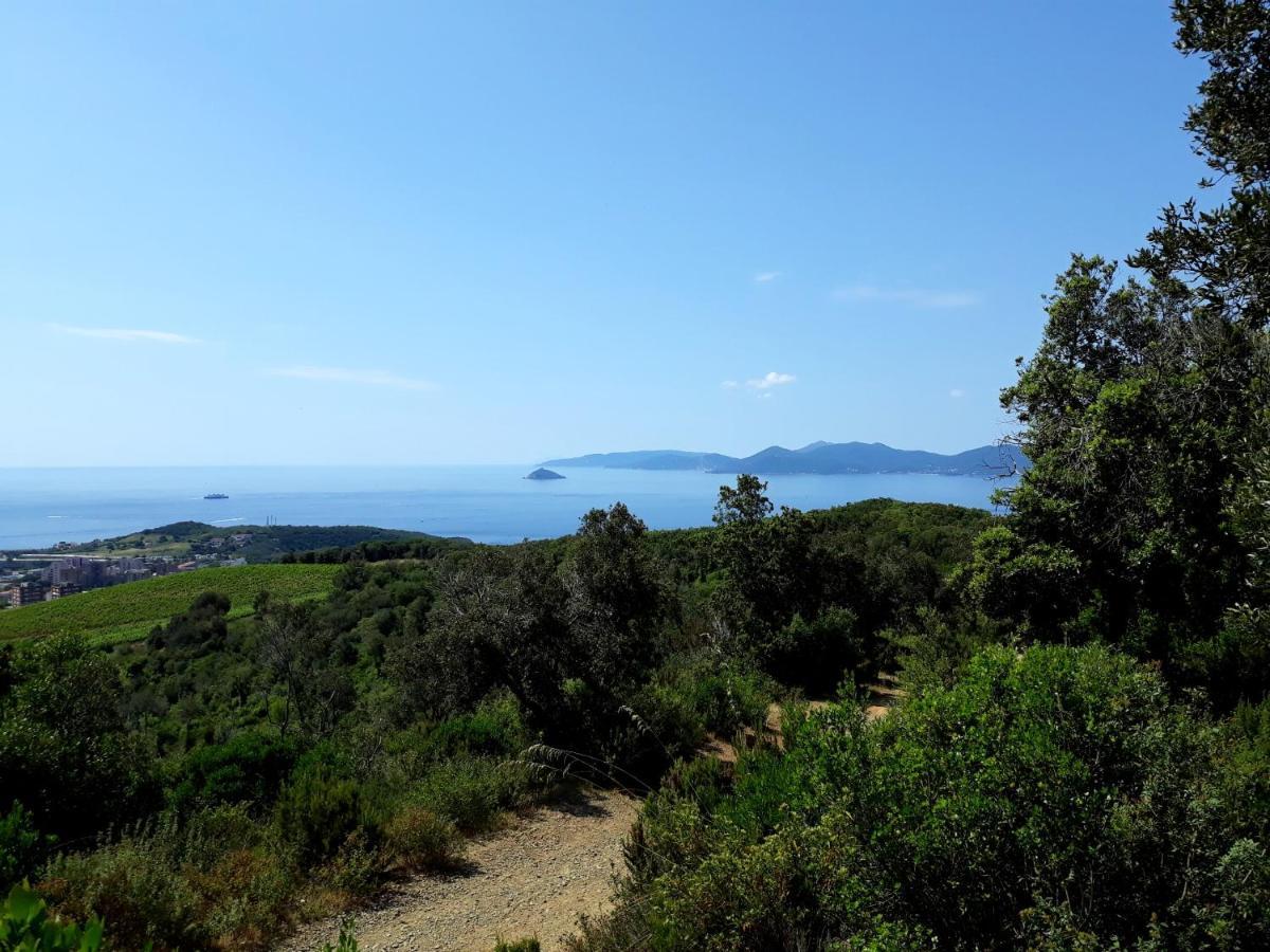 Appartamento Claudi a San Vincenzo Esterno foto
